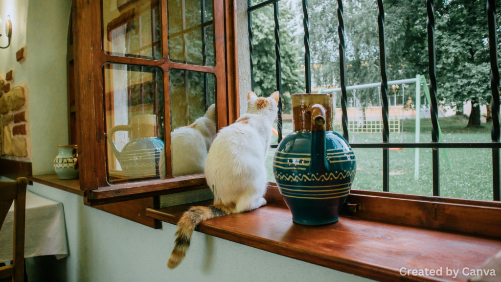 How to Keep Your Home Safe from Burglars