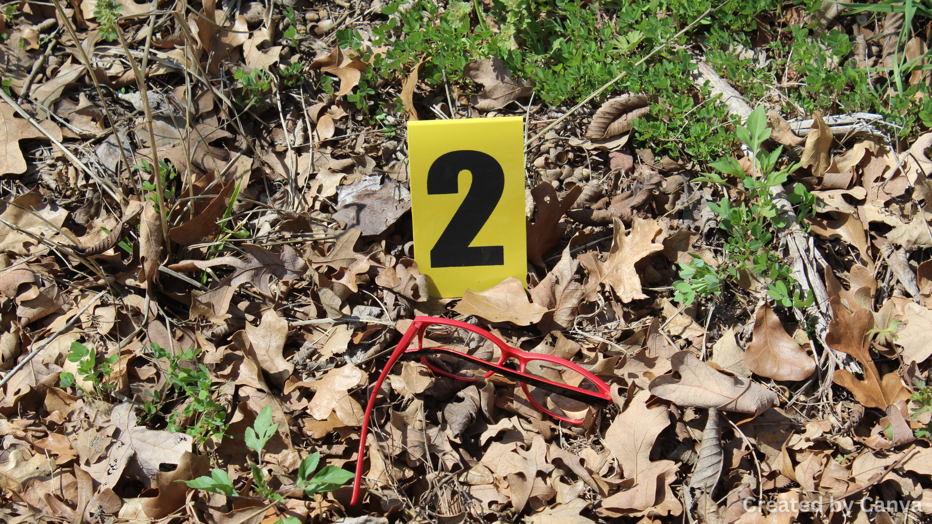 The Role of Crime Stoppers in Solving Pennsylvania’s Cold Cases