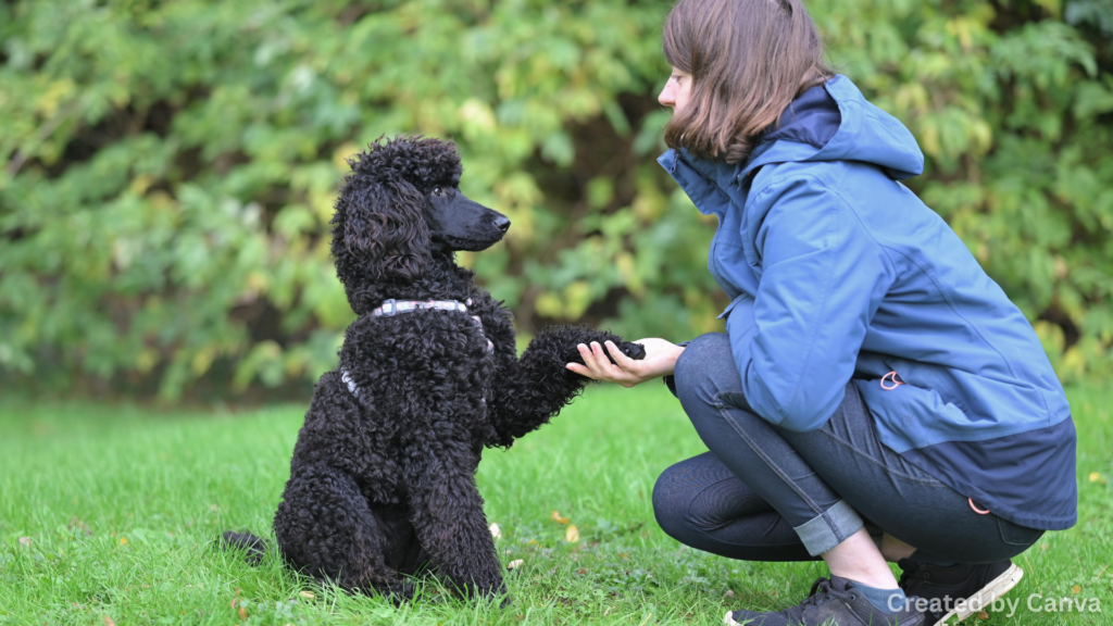 How to Recognize Strange Behavior